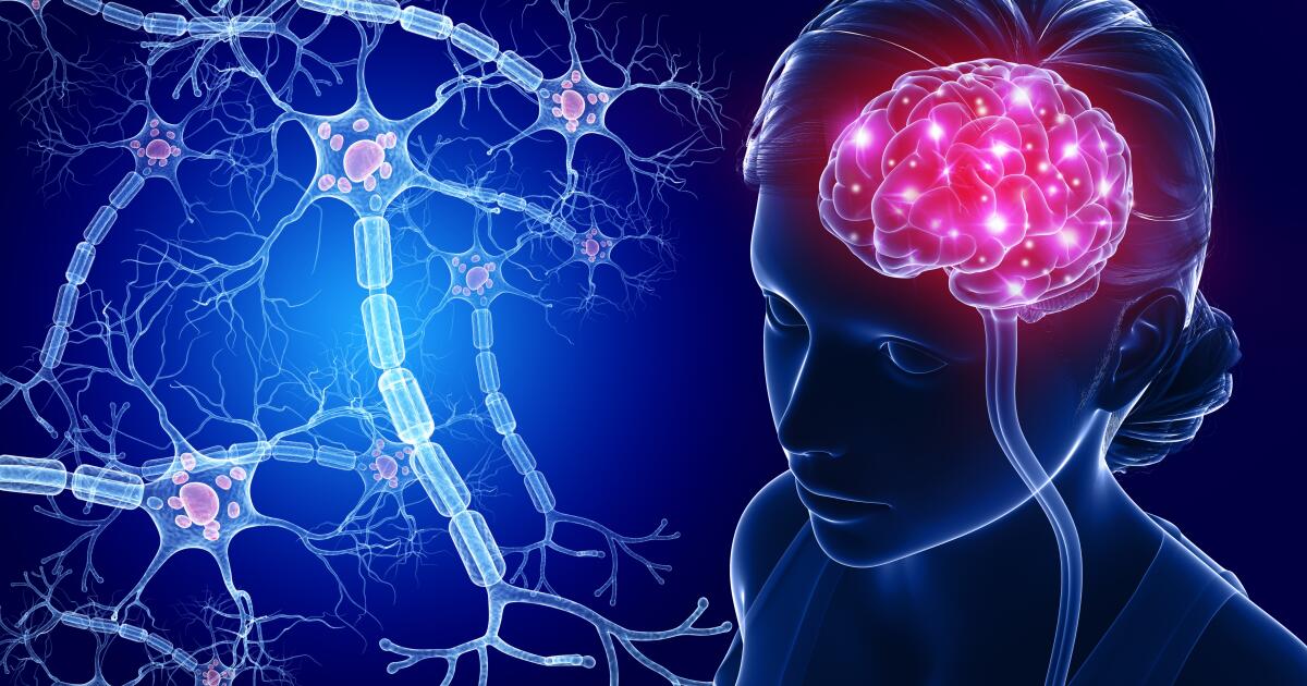 Darafia Neurology – DarAfia Group